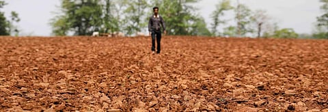 Addressing the issue of soil pollution will also help nations achievement many Sustainable Development Goals. Credit: Vikas Choudhary/CSE