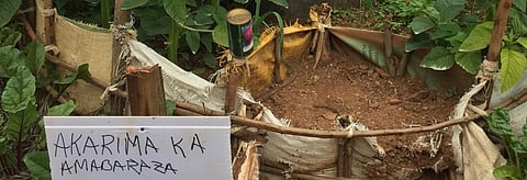 The kitchen gardens are being run in 343 villages of the total 350 villages in the district. Credit: Vibha Varshney