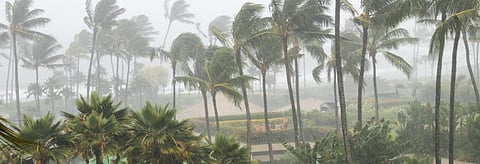 The IMD predicts that the cyclone will gain further strength to transform into a severe cyclone by the evening of December 15. Credit: Getty Images
