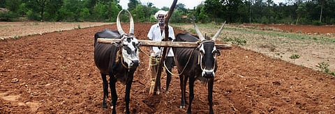 What to expect before Modi’s 'maha' deal for farmers
