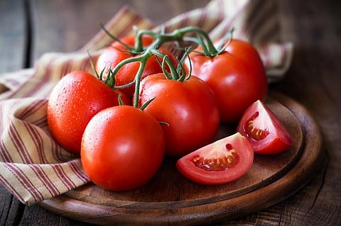 Gene that helps tomato fight viral infection, heat stress identified 