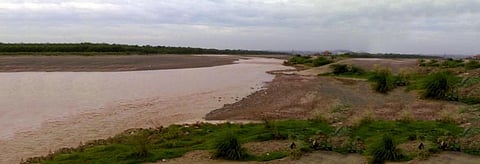 The Ghaggar river, thought to among one of the channels of the ancient Saraswati river, in Haryana's Panchkula. Credit: Wikimedia Commons 
