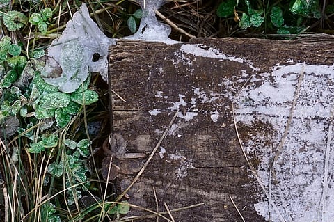 Frost bites states across India 