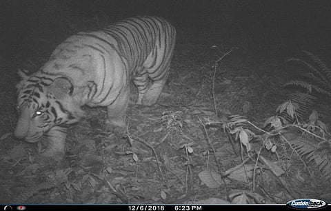 Credit: Divisional Forest Officer, East Wildlife Division