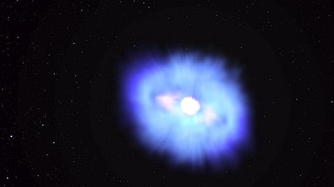 Did the Cow lead scientists to birth of a black hole?
