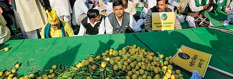 Happy Makar Sankranti. Or is it?