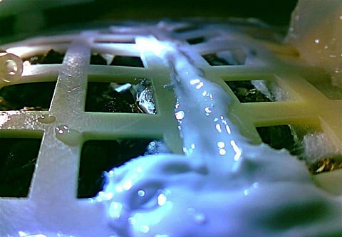 First life to sprout on the Moon is already dead
