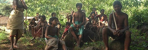 The push to drive indigenous people out of forests
