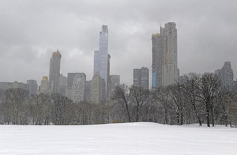 Photo: Getty Images
