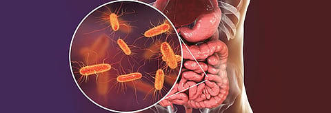 Lack of data on gut microbes in India a problem