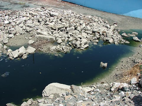 ‘Pay Rajasthan farmers for losses due to soil pollution’