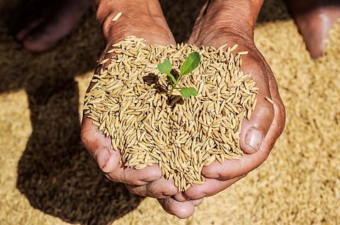 Padma Shri awardees include 12 farmers 