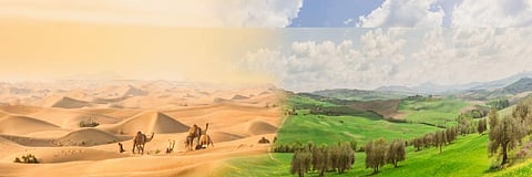How to fight deseritification: Here’s what the 15th COP to UNCCD agreed on