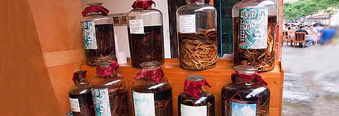 Tiger wine being sold in Myanmar. Credit: Wikimedia Commons