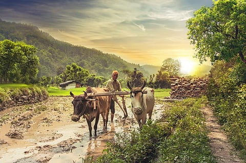 Interim Budget 2019: Government's big farmer push falls short