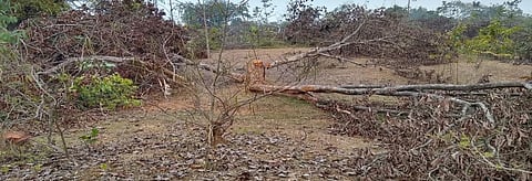 ‘Give us our forest back’ 