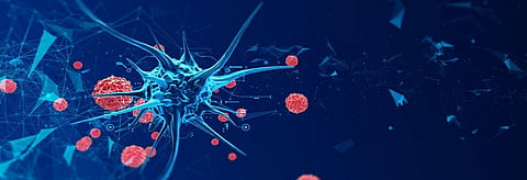 Cancer growth in the body could originate from a single cell – target it to revolutionise treatment