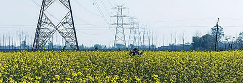 Powerless firms