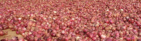 Low inflation rates and dipping food prices: Where do they leave the farmer