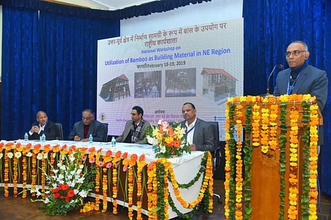 एथेनॉल मिश्रित पेट्रोल का आधार बन सकता है बांस  