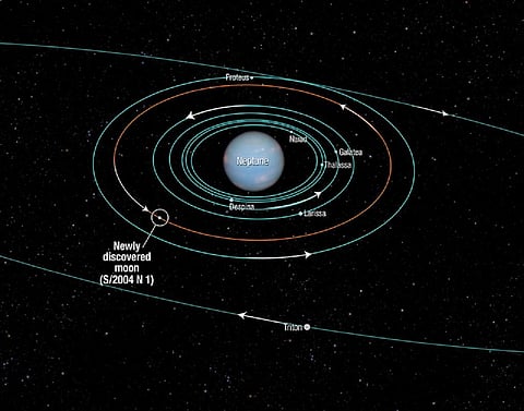 This diagram shows the orbits of several moons located close to the planet Neptune. All of them were discovered in 1989 by NASA's Voyager 2 spacecraft, with the exception of Hippocamp (S/2004 N 1).  Credit: NASA, ESA, and A. Feild (STScI)