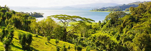Worrying dip in global biodiversity