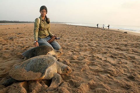 Indian shark researcher gets global recognition