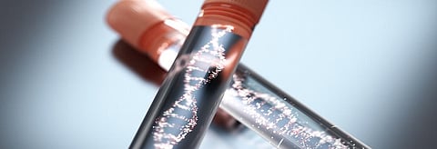 Say hello to hachimoji: Scientists just doubled the genetic alphabet