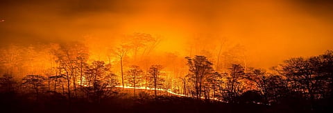 Forest fires in India tripled in the last four months