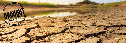 Drought but why: Jharkhand staring at food insecurity