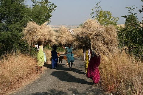 Photo: Sunita Narain/CSE