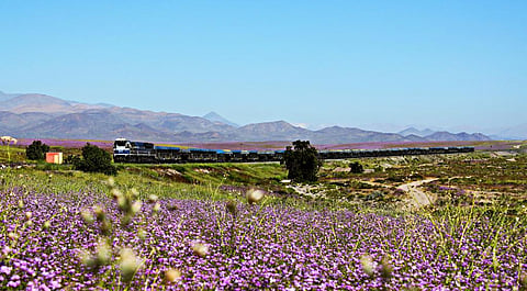 Credit: Sebastián Betancourt/ flickr