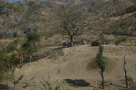 Compensatory afforestation: FAC considers forest with tree cover up to 40% degraded 