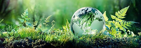 We need to act NOW: UN climate change body turns 25