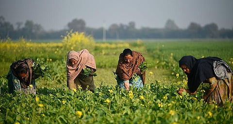 सामुदायिक भूमि पर अधिकार के लिए दलितों का आंदोलन 