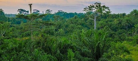 Photo: Shutterstock
