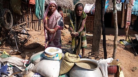 Women show the bamboo rice they collected. Photo: Ashis Senapati