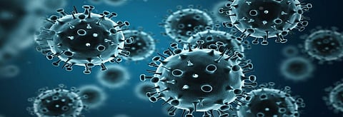 Swine Flu virus changing seasonality, geography