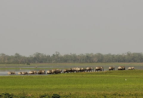Photo Credit : Kumar Sambhav Shrivastava 