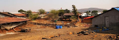 Spirit of forest law being quashed in Gujarat