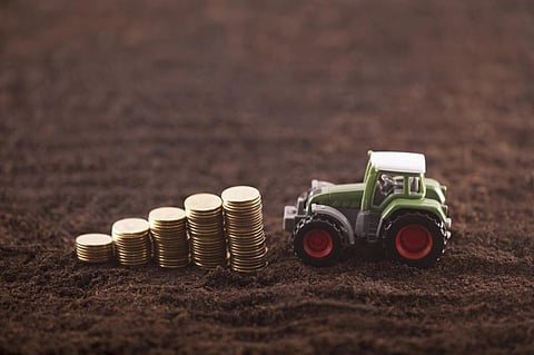 Why Punjab needs to revisit land reforms and hike farm subsidies 