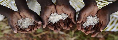 New global benchmark for famine declarations 