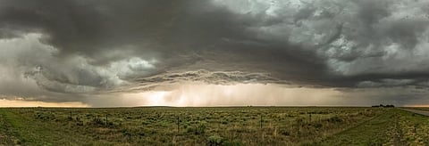 Extreme climate can halve crop yields: Study