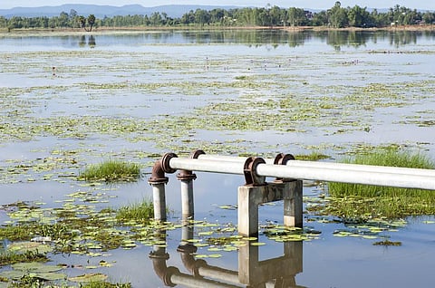 After NGT asks for stringent norms for STPs — a new dilemma 