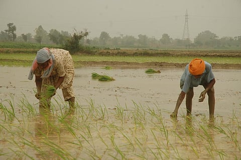 Photo : Agnimirh Basu