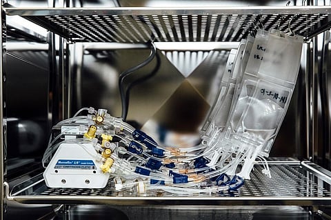 The required piece of tissue can be readied for implantation in three weeks. Photo: Epibone