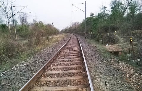 Third railway line through Palamu Tiger Reserve threatens to increase human-elephant conflict