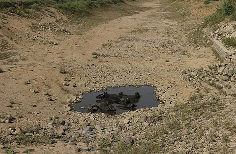 Photo : Vikas Choudhary 
