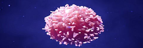How cancer reoccurs after immunotherapy?