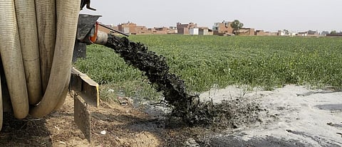 A tanker dumps untreated faecal sludge in a wheat field. Photo: Vikas Choudhary